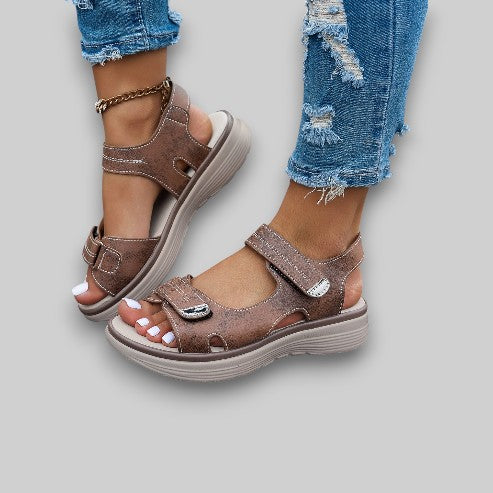 Brown / 10